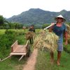 Fishing and Farming Experience in Mai Chau Vietnam -3 days