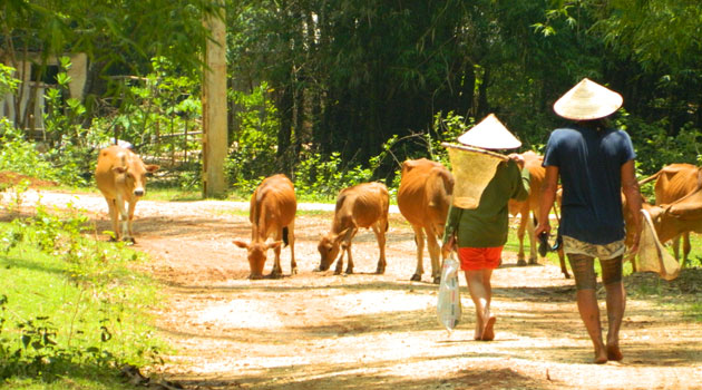 Mai Chau Vietnam Agricultural and Farm Tours