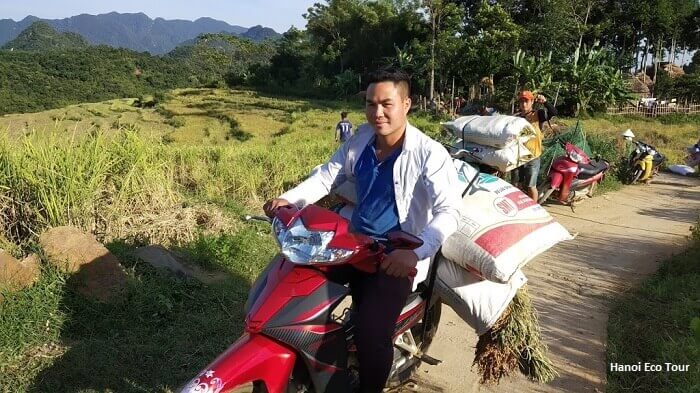 Locals during rice harvest season in Mai Chau