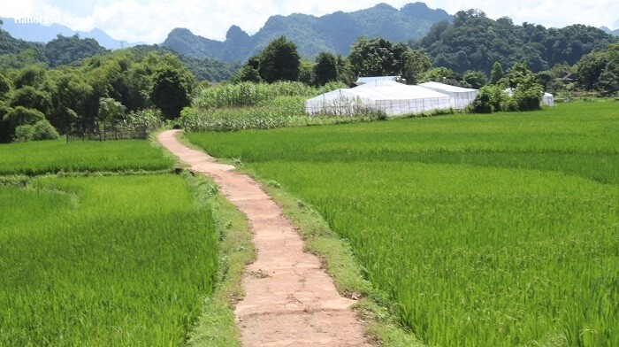 Stunning trail in Mai Chau