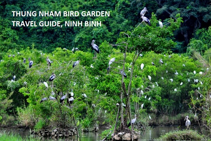 Thung Nham Bird Garden, Ninh Binh