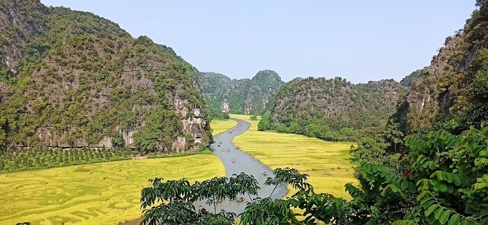 Tam Coc during the rice hearvest season