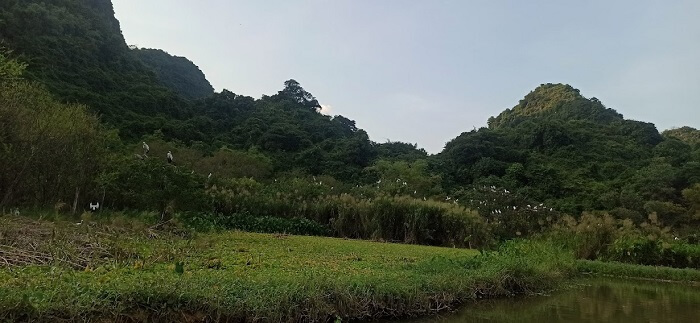 THung Nham bird park