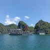 Private Lan Ha bay day cruise from Cat Ba/Hai Phong – Less touristy option
