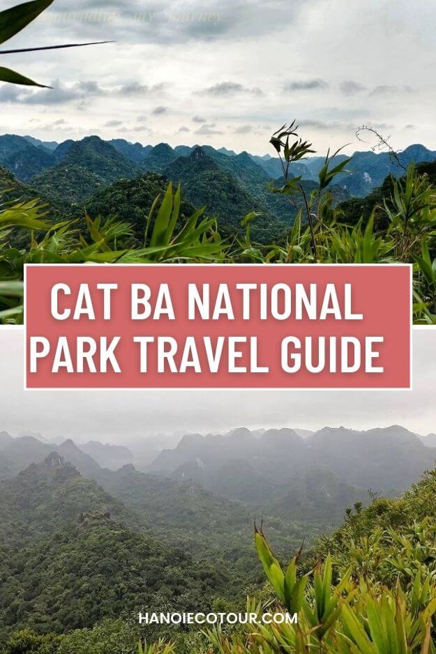 Cat Ba national park travel guide