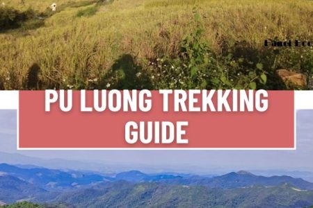 Pu Luong trekking guide