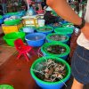 Halong street food tour – Unique culinary experience in Halong