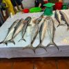 Halong street food tour – Unique culinary experience in Halong