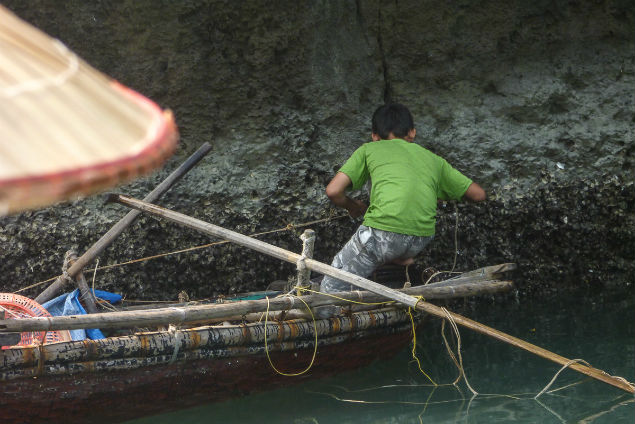 Collecting clam in Halong Bay
